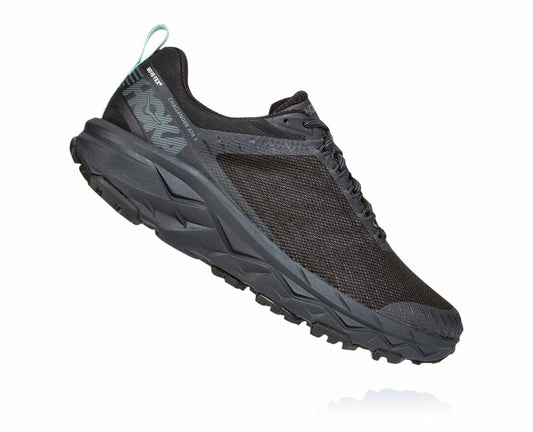 Women's Challenger ATR 5 GORE-TEX Black / Antigua Sand